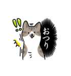 猫とトイレ事情（個別スタンプ：20）