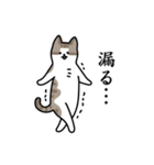 猫とトイレ事情（個別スタンプ：25）