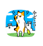 猫とトイレ事情（個別スタンプ：29）