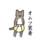 猫とトイレ事情（個別スタンプ：36）