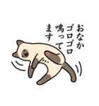 猫とトイレ事情（個別スタンプ：37）