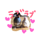 文鳥、モモンガ、ハムスタースタンプ（個別スタンプ：3）