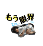 ぼくの名前は力翔（個別スタンプ：13）