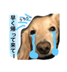 山田さん家のうめじくん。（個別スタンプ：2）