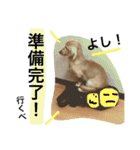山田さん家のうめじくん。（個別スタンプ：9）
