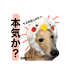 山田さん家のうめじくん。（個別スタンプ：12）
