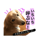 山田さん家のうめじくん。（個別スタンプ：18）