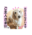 山田さん家のうめじくん。（個別スタンプ：21）