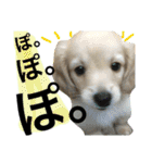 山田さん家のうめじくん。（個別スタンプ：24）