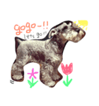 My name is Soo（個別スタンプ：1）