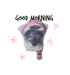 My name is Soo（個別スタンプ：2）