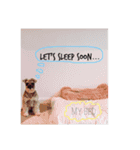 My name is Soo（個別スタンプ：6）