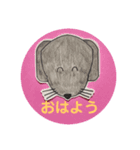 黒ラブ犬「ちゃま」（個別スタンプ：2）