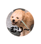 サスケの日常 2（個別スタンプ：1）