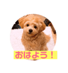 サスケの日常 2（個別スタンプ：2）