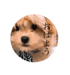 サスケの日常 2（個別スタンプ：3）