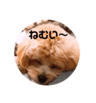 サスケの日常 2（個別スタンプ：5）