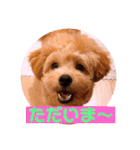 サスケの日常 2（個別スタンプ：9）