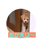 サスケの日常 2（個別スタンプ：10）