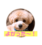 サスケの日常 2（個別スタンプ：17）