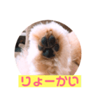 サスケの日常 2（個別スタンプ：18）