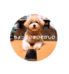 サスケの日常 2（個別スタンプ：25）