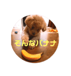 サスケの日常 2（個別スタンプ：27）