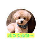 サスケの日常 2（個別スタンプ：32）