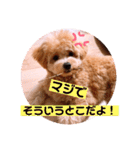 サスケの日常 2（個別スタンプ：36）