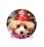 サスケの日常 2（個別スタンプ：38）