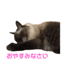 はるなつあきふゆ2（個別スタンプ：9）