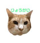 はるなつあきふゆ2（個別スタンプ：20）