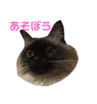 はるなつあきふゆ2（個別スタンプ：25）