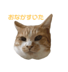 はるなつあきふゆ2（個別スタンプ：32）