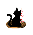 くろねこシルエット black cat silhouette（個別スタンプ：8）
