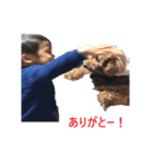せいた（個別スタンプ：4）