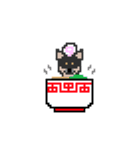 柴チワのサク。その2。（個別スタンプ：7）