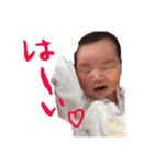 こゆたんいっぱい（個別スタンプ：10）