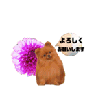にこ 2（個別スタンプ：9）