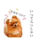 にこ 2（個別スタンプ：12）