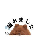にこ 2（個別スタンプ：20）