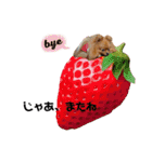 にこ 2（個別スタンプ：24）