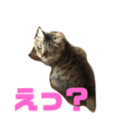 るななな（個別スタンプ：1）