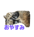 るななな（個別スタンプ：2）
