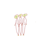 _Daily vegitables_（個別スタンプ：34）