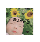 てっせいうまれましたー（個別スタンプ：17）