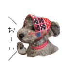 トイプードル ピノちゃんのスタンプ（個別スタンプ：4）