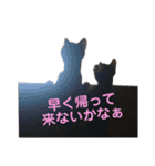 にゃんしーの仲間たち。（個別スタンプ：6）