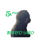 にゃんしーの仲間たち。（個別スタンプ：11）