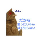 にゃんしーの仲間たち。（個別スタンプ：14）